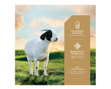 DuMOR 3006823-103 Livestock Supplies Goat Mineral Feed Supplement, 25 lb. Bag