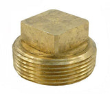 Raypak 013738F Unitherm Governor Plug for Digital Heaters