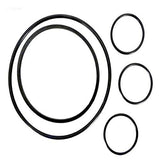 Hayward VLX4004A O-Ring Kit for VL Series Filter