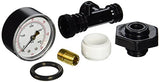 Pentair 24850-0105 Valve and Gauge Assembly for Sta-Rite Pool or Spa Filter