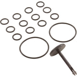 Pentair 42001-0014Z Kit Valve Stem Bypass