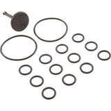 Pentair 42001-0014Z Kit Valve Stem Bypass