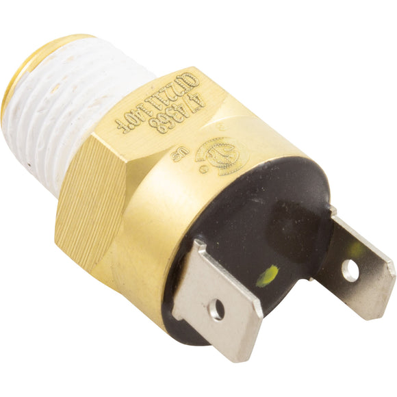 Pentair 42002-0025S Gas Shutoff Switch