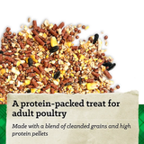 Nutrena 95268-50 Berry Flavor Scratch Adult Poultry Grains Feed, 50 lb.