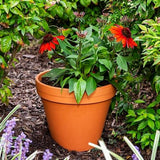 Border Concepts 800117 Frost-Resistant Terra Cotta Red Planter Pot, 10 in.