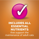 Friskies Adult Chicken Shreds in Gravy Wet Cat Food, 5.5 oz. - 1 Single Can