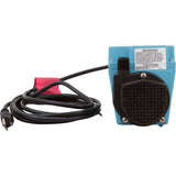 Little Giant 503603 Pump, Submersible, Little Giant 3E-34N,670 GPH,200W,10' Cord