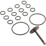 Pentair 42001-0014Z Kit Valve Stem Bypass