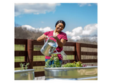 GroundWork KT11672 Galvanized Watering Can, 2.3 gal. Capacity