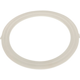 Waterway 711-1740 Replacement Gasket For Poly Jet Wall Fitting (Old Style)