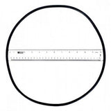 Astral 4404210302 O-Ring for Filter Tank