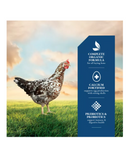 DuMOR 4BM0651P Poultry Supplies Organic 16% Layer Pelleted Chicken Feed, 40 lb. Bag