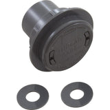 Jandy Zodiac 3-3-113 Charcoal Gray ThreadCare Return Inlet