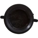 Waterway 662-2140 Plunger, 1", Air Control