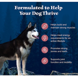 Blue Buffalo High Protein Adult Dry Dog Food Wholesome Grains, Salmon 4.5 lbs