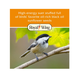 Royal Wing 11444 Wild Bird Sunflower Flavor Suet Cake, 9 oz.