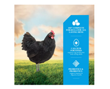 DuMOR 3006316-306 Livestock Supplies 16% Layer Crumbled Chicken Feed, 50 lb. Bag