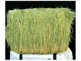 Ametza CB-BER Farm Animal Supplies Bermuda Hay Bale Horse Feed, 50 lbs.