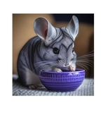 DuMOR 1030064 Small Animal Advanced Diet Pelleted Chinchilla Food, 2 lb. Bag