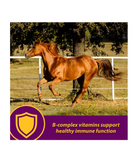 Horse Health 74110 Red Cell Iron-Rich Supplement for Horses, 1 gal.