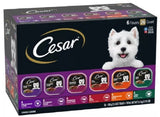Cesar 10192140 Pate Wet Dog Food 6 Flavors Variety Pack 3.05 oz. - 36 Count