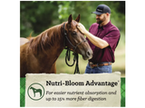 Nutrena 94513 SafeChoice Mare and Foal 16% Pelleted Horse Feed, 50 lb. Bag