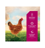 DuMOR 1030010 Livestock Supplies 5-Grain Scratch Poultry Feed Supplement, 10 lb. Bag