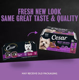 Cesar Classic Loaf in Sauce Wet Dog Food Variety Pack, 3.5 oz Trays (12 Pack)
