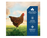 DuMOR 3006319-206 Poultry Supplies 16% Layer Pelleted Chicken Feed, 50 lb. Bag