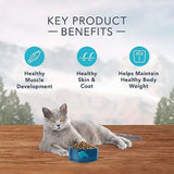 Blue Buffalo High Protein Natural Adult Indoor Dry Cat Food, Chicken 11 lb.
