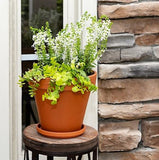 Border Concepts 800114 Terra Cotta Planter Pot, Terra Cotta Red, 8 in.