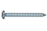 Hillman 41052 Zinc Pan Head Phillips Sheet Metal Screw #6 x 3/4 in., 100-Pack