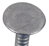 Hillman 461463 Fas-n-Tite Electro-Galvanized Roofing Nail 2 in. 11 Gauge - 1 lb