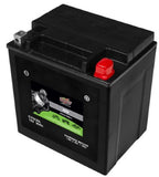 Interstate Batteries CYIX30L-BS-PW Powersport Battery 12Volts 30 Amps