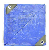 JobSmart LDBL1220 Reversible Light-Duty Poly Tarp, 12 ft. x 20 ft., Blue