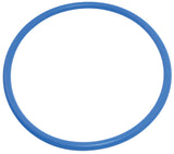 Pentair U9229Z 2-435 Oring