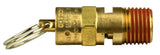 Porter-Cable PXCM136-0005 1/4 in. 150 PSI ASME Pressure Relief Valve - Brass