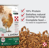 Purina 3007296-205 Layena+ High Protein Layer Chicken Feed, 40 lb. Bag