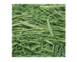 DuMOR 42927 Small Animal All-Natural Timothy Hay for Adult-aged Small Pets, 3 lb.