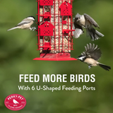 Royal Wing 336BTSC Red Barn Squirrel-Proof Bird Tube Feeder, 2 lb. Capacity