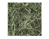 DuMOR 42933 All-Natural Orchard Grass Hay for Adult-aged Small Pets, 48 oz