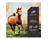 DuMOR 3006187-206 Animal Products Equistages Pelleted Horse Feed, 50 lb. Bag