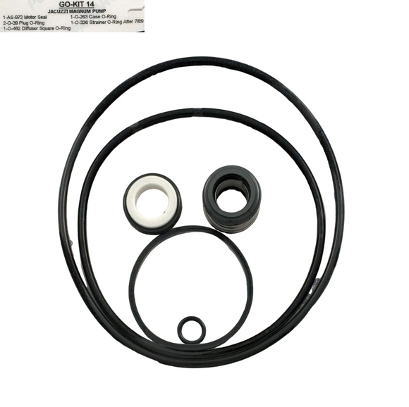 Aladdin GOKIT14 fits Magnum Pump Orong