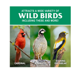 Royal Wing 145 Grey-Striped Sunflower Wild Bird Food, 20 lb. Bag