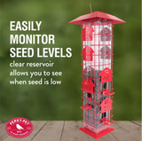 Royal Wing 336BTSC Red Barn Squirrel-Proof Bird Tube Feeder, 2 lb. Capacity