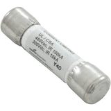 Balboa 30137 Fuse 25A Power Input (10)