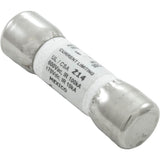 Balboa 30142 20A Power Input Fuse