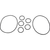 Zodiac Polaris 5-9-2001 Complete Rebuild Kit for Caretaker Valve 592001