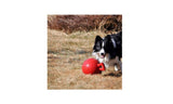 Jolly Pets 406BB 6 in. Tug- N - Toss Blueberry-Colored Dog Toy, Plastic Material