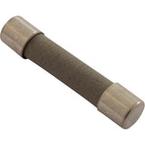 Buss MDA-10 10A 115v MDA Slo Blo Fuse